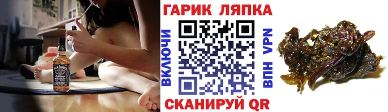kraken   Аша  ГАШ убойный 