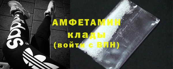 индика Покачи