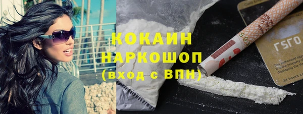 шишки Алексин