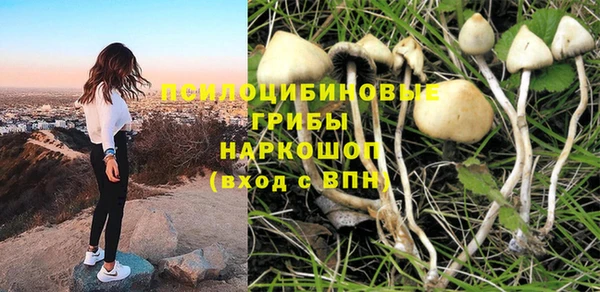 шишки Алексин