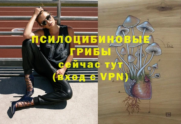 шишки Алексин