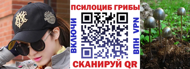 Псилоцибиновые грибы прущие грибы  Аша 